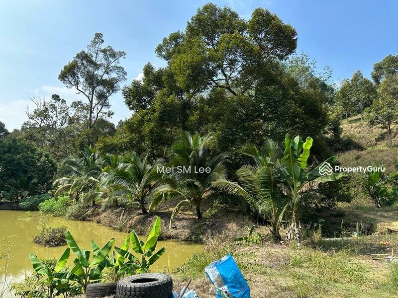 Agricultural-Land-Acacia-Bentong-Pahang-Bentong-Malaysia3