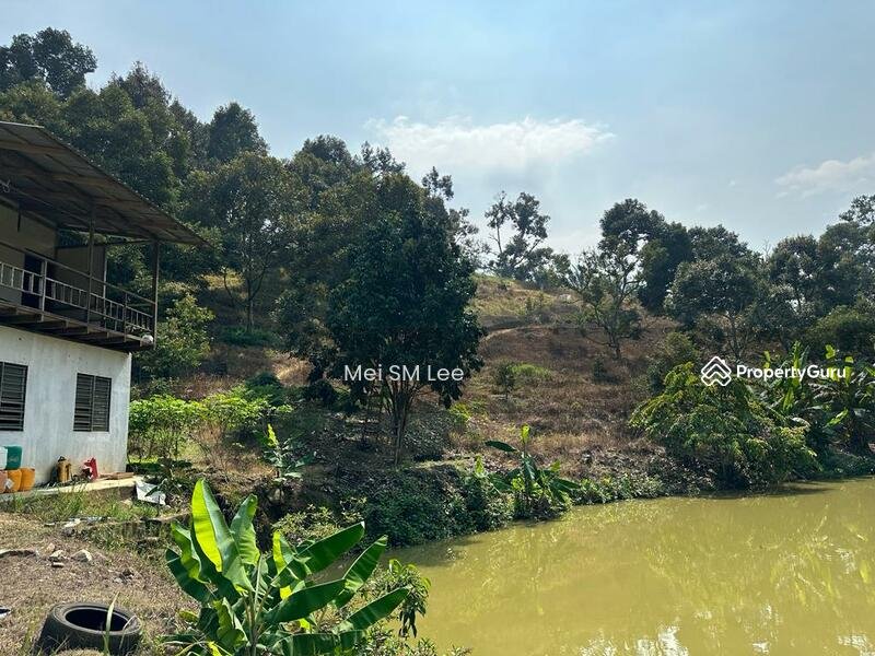 Agricultural-Land-Acacia-Bentong-Pahang-Bentong-Malaysia4