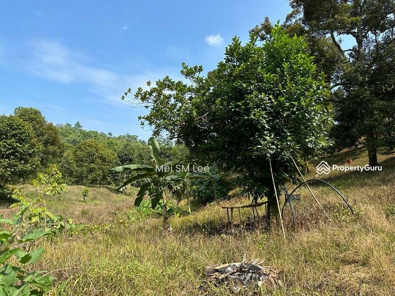 Agricultural-Land-Acacia-Bentong-Pahang-Bentong-Malaysia5