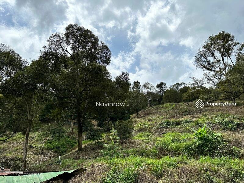 Agriculture-land-at-Bentong-Bentong-Malaysia jkjb