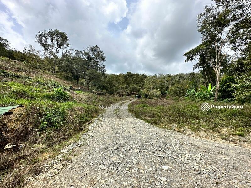 Agriculture-land-at-Bentong-Bentong-Malaysia