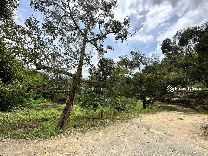 Agriculture-land-at-Bentong-Bentong-Malaysiahb