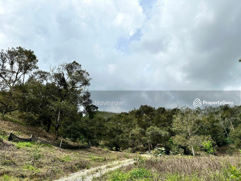 Agriculture-land-at-Bentong-Bentong-Malaysiakjn