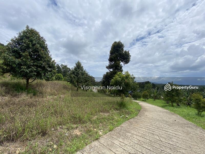 Bentong-to-Bilut-mainroad-side-Bentong-Bilut-Main-road-side-Bentong-Bentong-Malaysia3