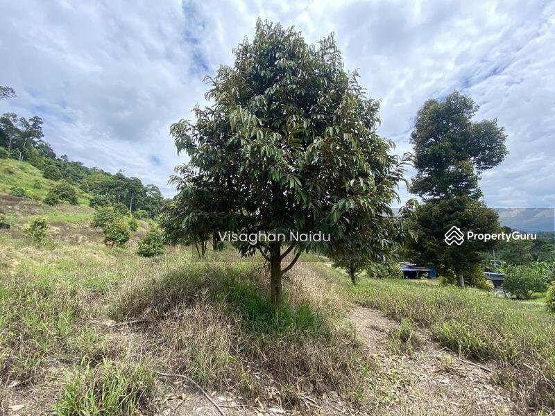 Bentong-to-Bilut-mainroad-side-Bentong-Bilut-Main-road-side-Bentong-Bentong-Malaysia4